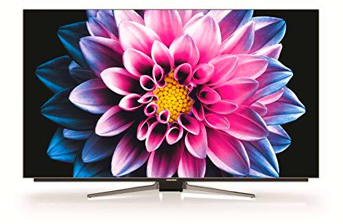 Grundig 55 VLO 9895 BP - Smart TV de 55&quot; con control de voz Alexa y tecnología OLED (UHD 4K